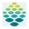 Northern Light Health logo