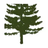 Sabine County Hospital logo